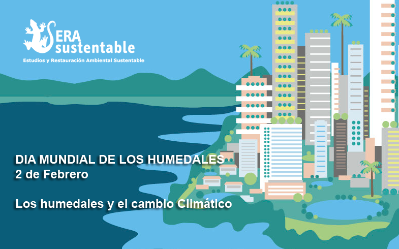Actividad Día Mundial del Humedal 2019