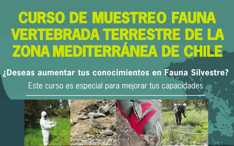 Deseas aumentar tus conocimiento en Fauna Silvestre