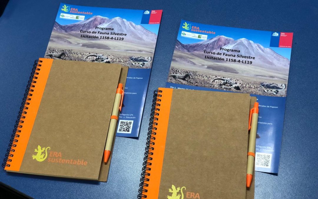 ERA Sustentable gana licitación en Antofagasta